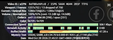 香港节点 · YouTube 播放状态：晚高峰香港节点 YouTube「Stats for nerds」原图（2026-10-28 21:45:51）